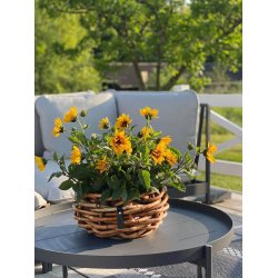 Rattan bowle <br><br> St m. 2 str. <br><br> 