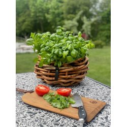 Rattan bowle <br><br> St m. 2 str. <br><br> 