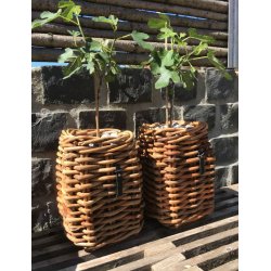 Rattan kurv <br><br> firkantet - mini