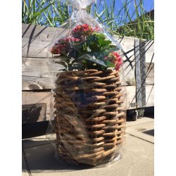 Rattan kurv <br><br> rund - mini