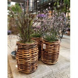 Rattan kurv <br><br> rund - mini