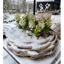 Rattan bowle <br><br> St m. 2 str. <br><br> 