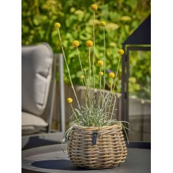 Rattan urtepotte <br><br> konisk <br><br> Kubu <br><br> �19,5 x H24 cm <br><br>
