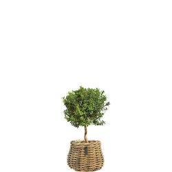 Rattan urtepotte <br><br> konisk <br><br> Kubu <br><br> �19,5 x H24 cm <br><br>
