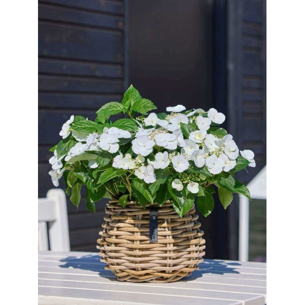 Rattan urtepotte <br><br> konisk <br><br> Kubu <br><br> �19,5 x H24 cm <br><br>