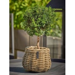 Rattan urtepotte <br><br> konisk <br><br> Kubu <br><br> �19,5 x H24 cm <br><br>