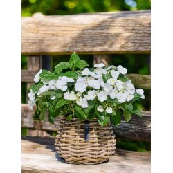 Rattan urtepotte <br><br> konisk <br><br> Kubu <br><br> �19,5 x H24 cm <br><br>