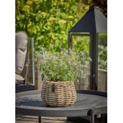 Rattan urtepotte <br><br> konisk <br><br> Kubu <br><br> �19,5 x H24 cm <br><br>