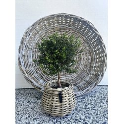 Rattan urtepotte <br><br> konisk <br><br> Kubu <br><br> �19,5 x H24 cm <br><br>