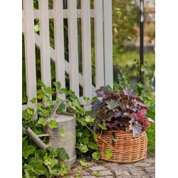 Rattan urtepotter <br><br> konisk <br><br> St af 3 str. <br><br>