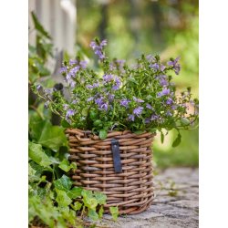 Rattan urtepotter <br><br> st af 3 str. <br><br>