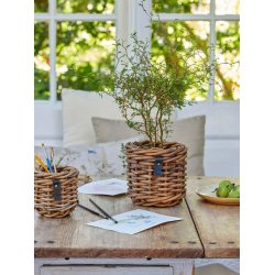 Rattan urtepotter <br><br> st af 3 str. <br><br>