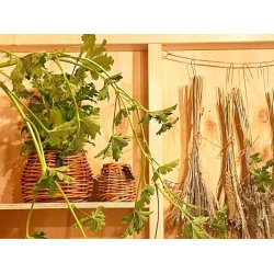 Rattan urtepotter <br><br> konisk <br><br> St af 3 str. <br><br>