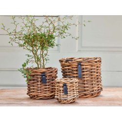 Rattan urtepotter <br><br> st af 3 str. <br><br>