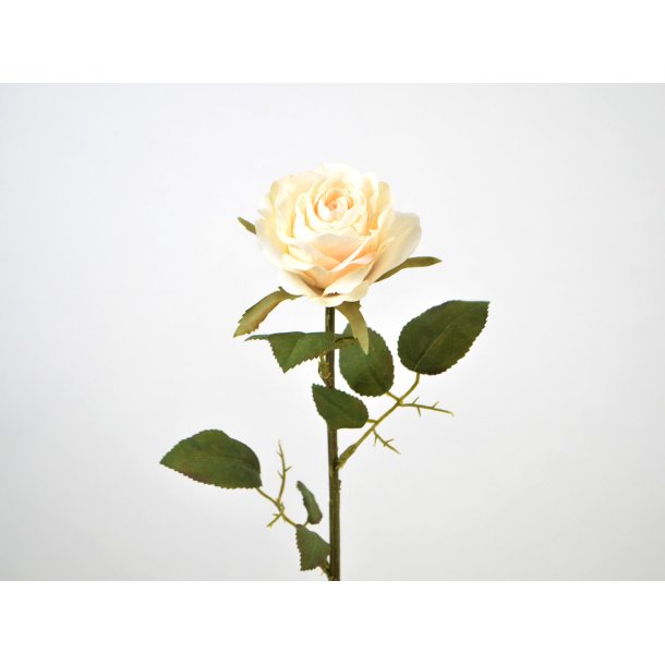 Rose <br><br> creme <br><br> L 44 cm <br><br>