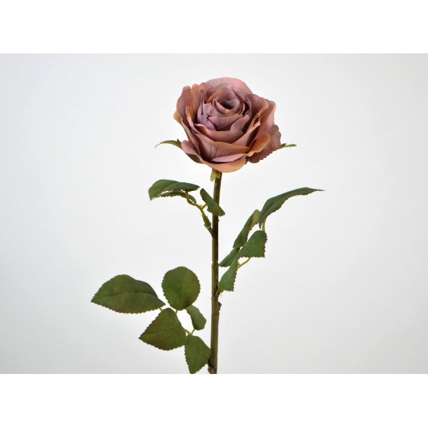 Rose <br><br> lilla <br><br> L 44 cm <br><br> 