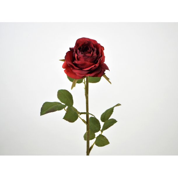 Rose <br><br> rd <br><br> L 44 cm
