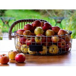 Trdbakke  - rund <br><br> maxi <br><br> 36 x H11 cm <br><br>