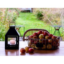 Trdbakke  - rund <br><br> maxi <br><br> 36 x H11 cm <br><br>