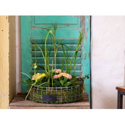 Trdbakke  - rund <br><br> midi <br><br> 31 x H10 cm <br><br>