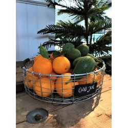 Trdbakke  - rund <br><br> midi <br><br> 31 x H10 cm <br><br>