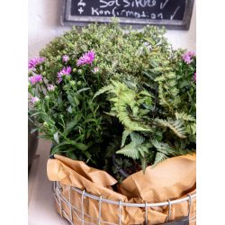 Trdbakke  - rund <br><br> midi <br><br> 31 x H10 cm <br><br>