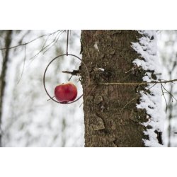 Spyd til fuglefoderkugle <br><br> h 35 cm <br><br> TIP: Perfekt til jul med appelsin og nelliker