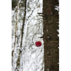 Spyd til fuglefoderkugle <br><br> h 35 cm <br><br> TIP: Perfekt til jul med appelsin og nelliker