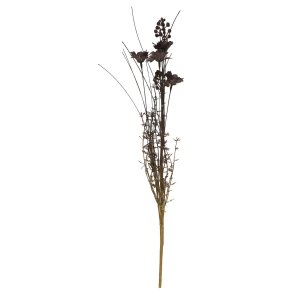Stilkeblomst <br><br> brunlige nuancer <br><br>