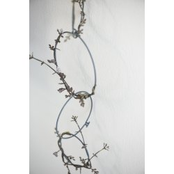 Stilkeblomst <br><br> lilla nuancer <br><br>