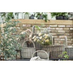 Stilkeblomst <br><br> gule/grnne nuancer <br><br> 