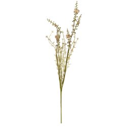 Stilkeblomst <br><br> brunlige nuancer <br><br> 