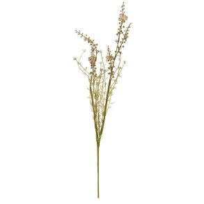 Stilkeblomst <br><br> brunlige nuancer <br><br> 