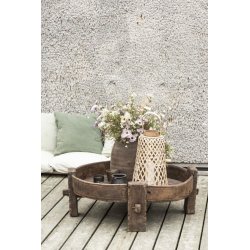 Stilkeblomst <br><br> gr/grnne nuancer <br><br> 