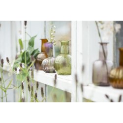 Stilkeblomst <br><br> cremefarvede nuancer <br><br> 