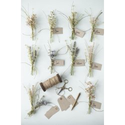 Stilkeblomst <br><br> cremefarvede nuancer <br><br> 