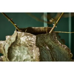 Stor rustik burn vase <br><br> Irgr�n <br><br> h53 cm <br><br>