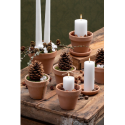 Store Kogler <br><br> 10-16 cm <br><br> 3 stk. <br><br>