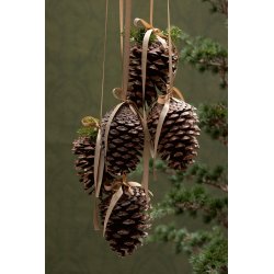 Store Kogler <br><br> 10-16 cm <br><br> 3 stk. <br><br>