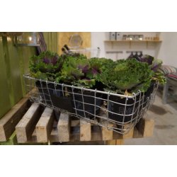 Firkantet trdbakke <br><br> midi <br><br> L43 x B28 x H11 cm