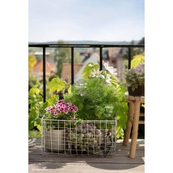 Trdkurve og bakker <br><br> st af 7 stk