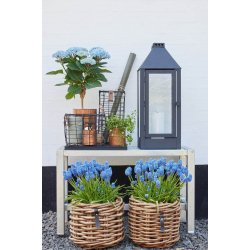 Trdkurve / bakker <br><br> firkantet <br><br> sort <br><br> vlg variant /st