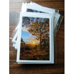 Kort m. kuvert <br><br> 7,4 x 10,5 cm <br><br> V�lg motiv <br><br> 2. SORTERING <br><br>