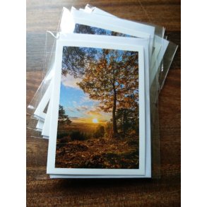 Kort m. kuvert <br><br> 7,4 x 10,5 cm <br><br> V�lg motiv <br><br> 2. SORTERING <br><br>