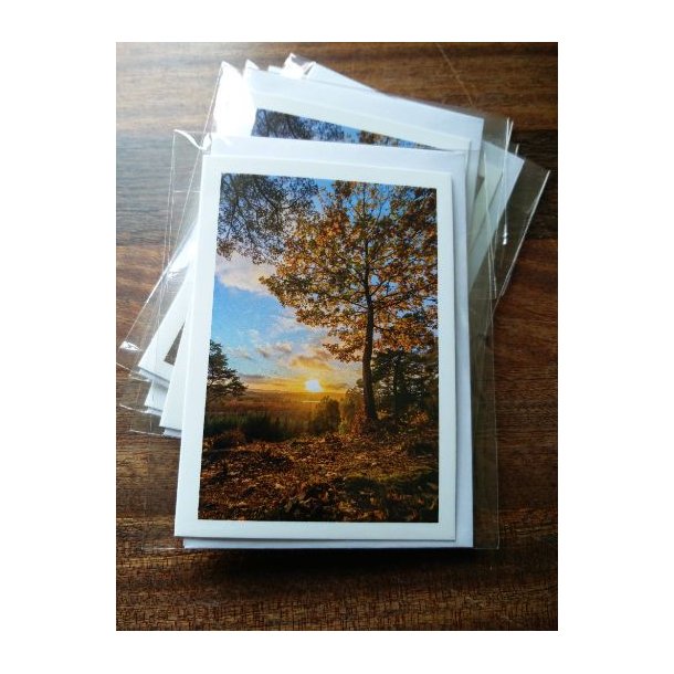 Kort m. kuvert <br><br> 7,4 x 10,5 cm <br><br> V�lg motiv <br><br> 2. SORTERING <br><br>