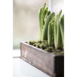 Tr�kasse m. metalbeslag <br><br> Unika <br><br> B: 14 H: 7 L: 43 cm <br><br> 