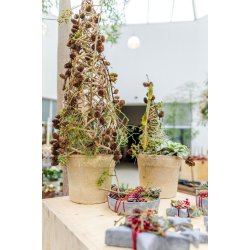 Twine kegle <br><br> Small - 40 cm <br><br>