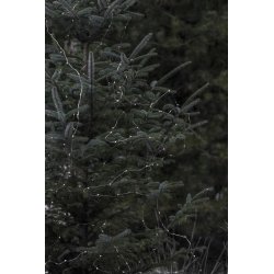 Udendrs lyskde <br><br> m/ 40 LED lys <br><br> L 4,2 m 