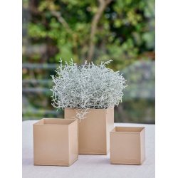 Firkantet urtepotte <br><br> hasselnd <br><br> St af 3 str. <br><br>