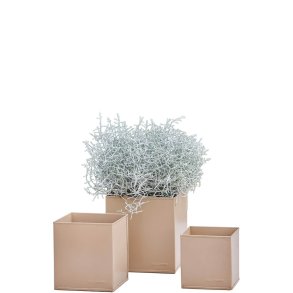 Firkantet urtepotte <br><br> hasselnd <br><br> St af 3 str. <br><br>